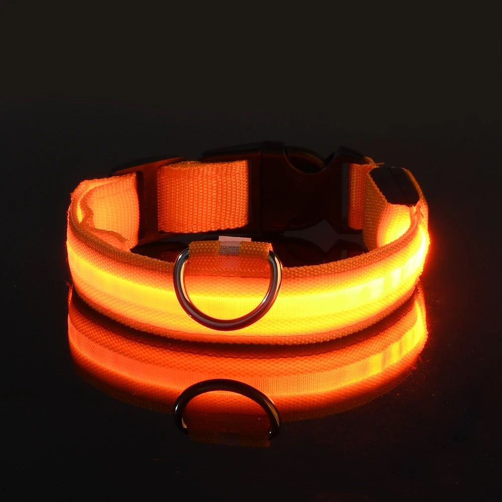 Glow Safety Dog Leash