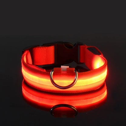Glow Safety Dog Leash