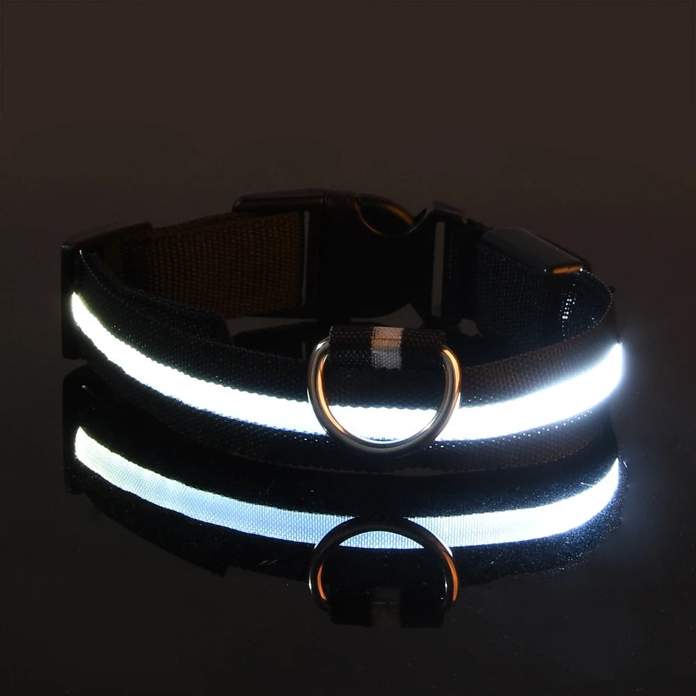 Glow Safety Dog Leash