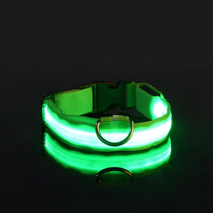 Glow Safety Dog Leash