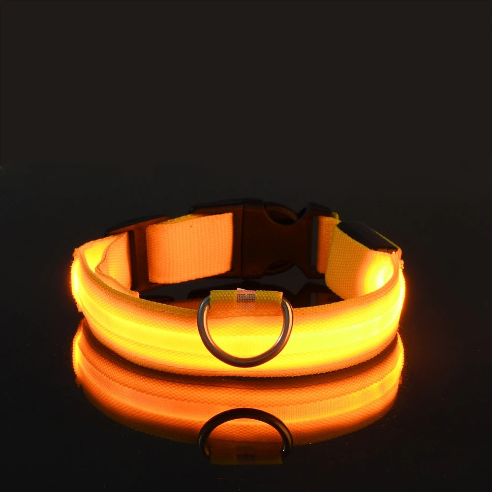 Glow Safety Dog Leash