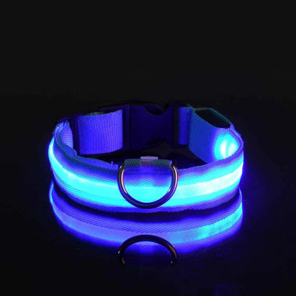 Glow Safety Dog Leash