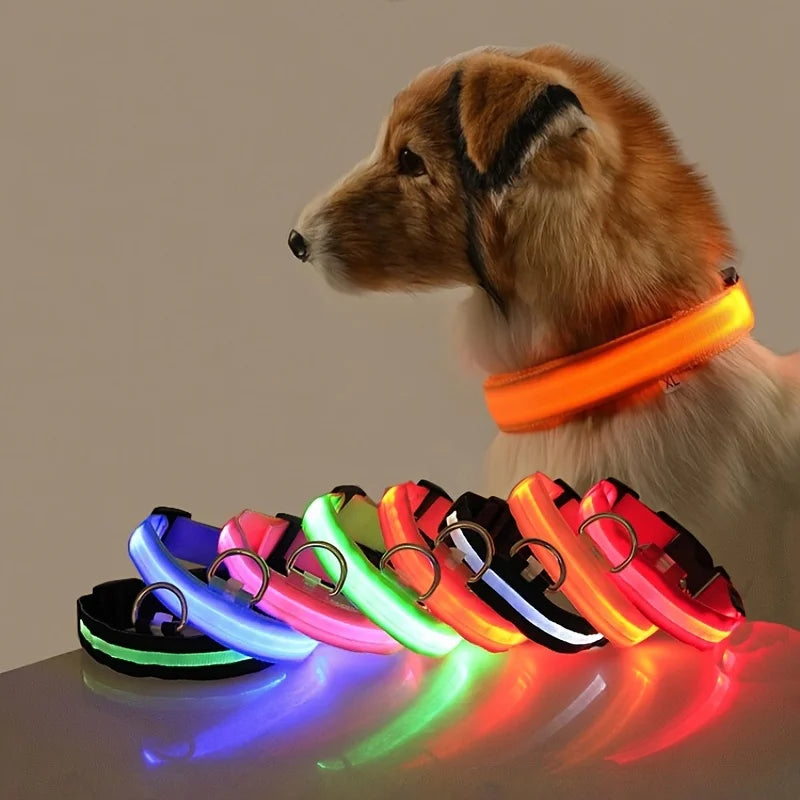 Glow Safety Dog Leash