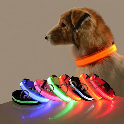 Glow Safety Dog Leash