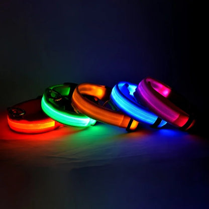 Glow Safety Dog Leash