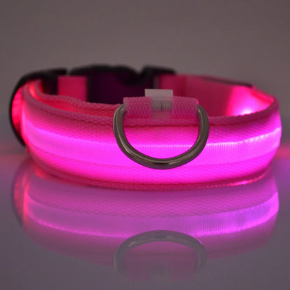 Glow Safety Dog Leash