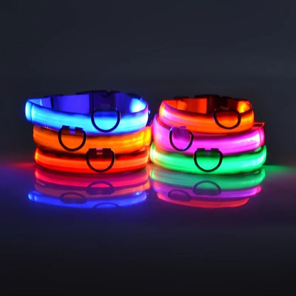 Glow Safety Dog Leash