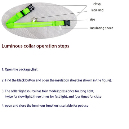Glow Safety Dog Leash