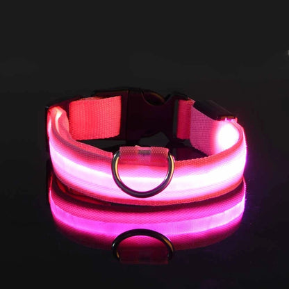 Glow Safety Dog Leash